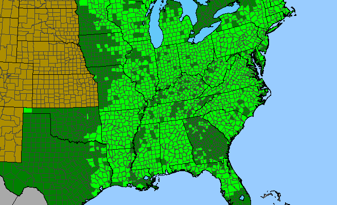 The range of Carpinus caroliniana